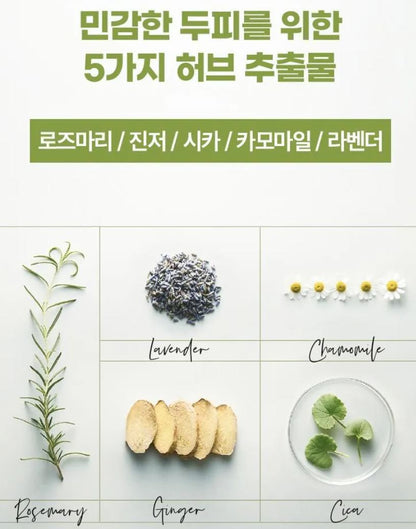 [Ryo] Volumizing Herbal Scalp Shampoo with Mild Acidic Lather – 353mL Special Set (+100mL)