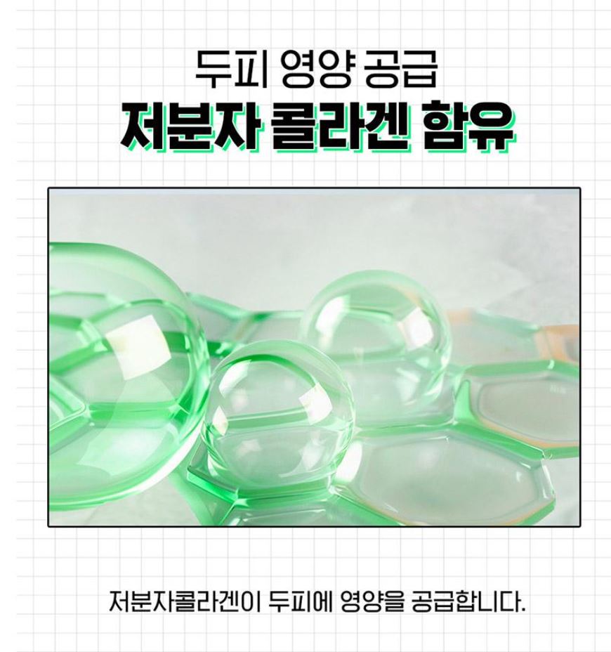 [LABO-H] Hair Line Ampoule Lightweight Scalp Care Double Set | 15ml × 2 + Shampoo 50ml