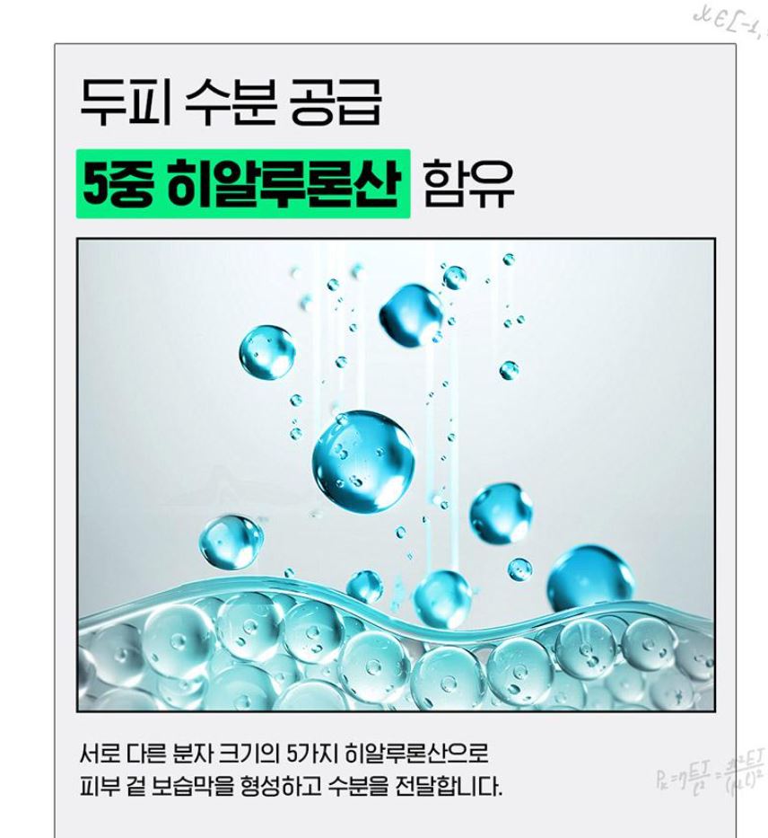 [LABO-H] Hair Line Ampoule Lightweight Scalp Care Double Set | 15ml × 2 + Shampoo 50ml