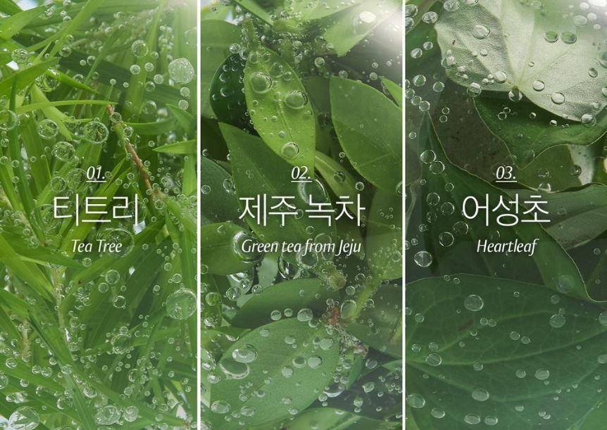 [Blanc Nature] Pore & Acne Cleansing Foam Creamy Fresh Finish Duo Set 150ml + 50ml