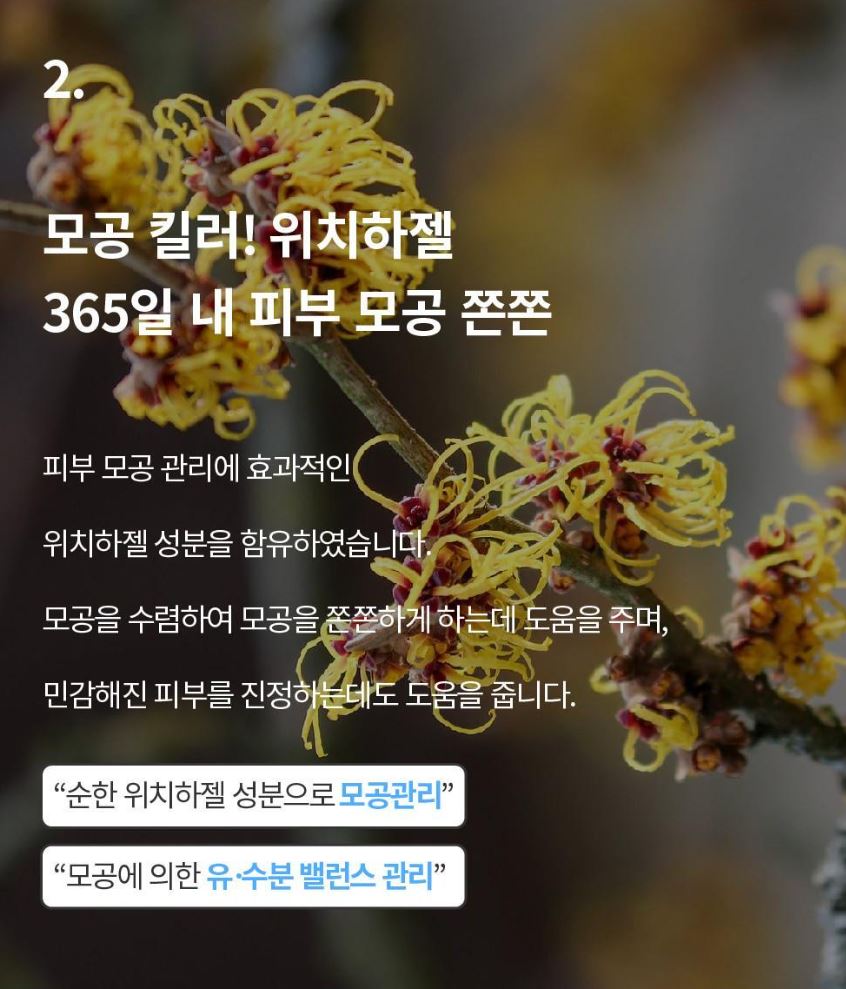 [S.NATURE] Aqua Squalane Serum – Lightweight Hydrating Glow Finish (50 ml)