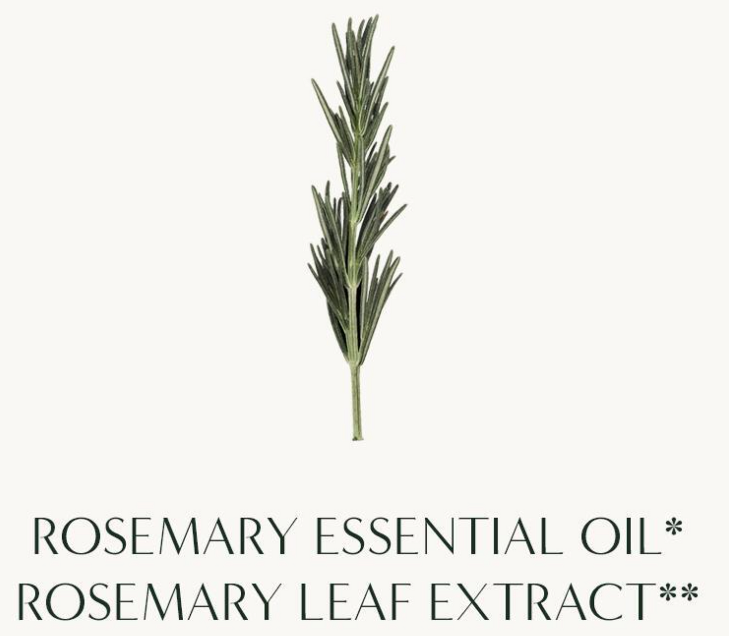 [Aromatica] Rosemary Root Enhancer 100ml | Scalp Strengthening & Hair Volume Care