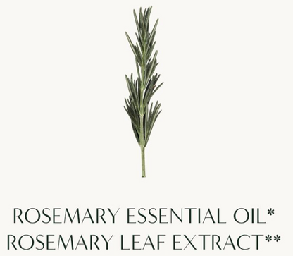 [Aromatica] Rosemary Root Enhancer 100ml | Scalp Strengthening & Hair Volume Care