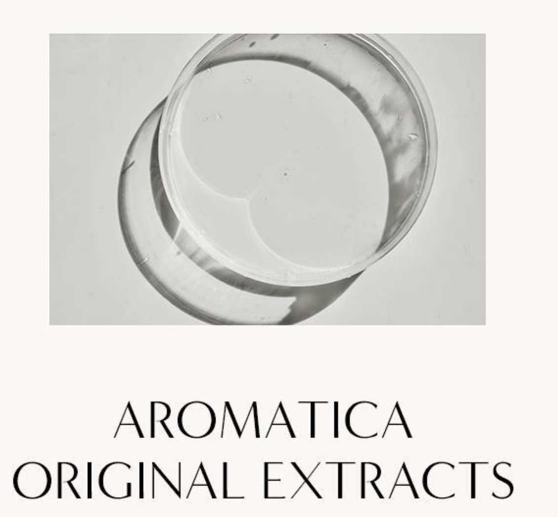 [Aromatica] Rosemary Root Enhancer 100ml | Scalp Strengthening & Hair Volume Care