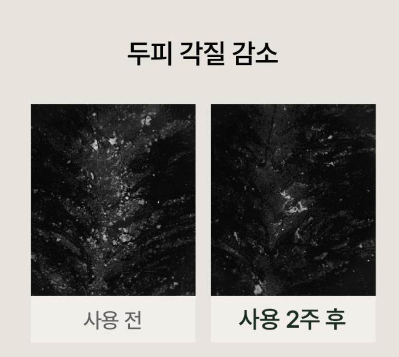 [Aromatica] Rosemary Root Enhancer 100ml | Scalp Strengthening & Hair Volume Care