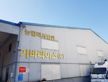 [Hwangsilmi-ga] Korean Scorched Rice (Ssal Nurungji) 1kg | Traditional Crispy Rice Snack