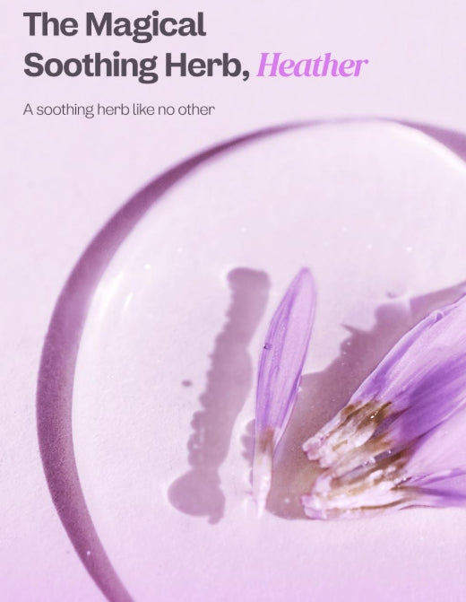 [ma:nyo Factory] Heather Calming Essence Pad | Soothing & Hydrating Toner Pads | 60 Pads