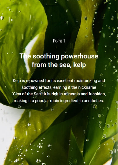 [BIODANCE] Refreshing Sea Kelp Real Deep Mask Sheet – Calming & Purifying Hydrogel Mask Care | 4 Sheets