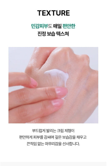 [BIOHEAL BOH] Panthecell Repair Cicasome Cream Set | Soothing Moisture Cream + Ampoule 80mL + 13mL | GlowLab