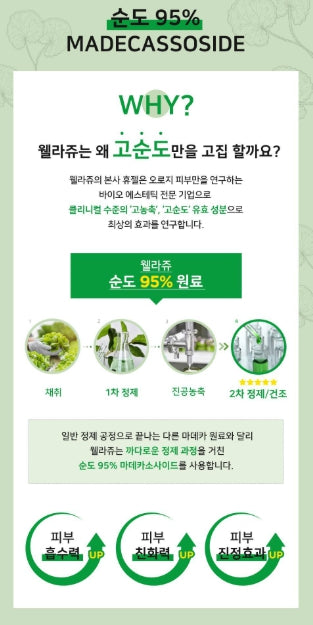 [WELLAGE] Real Cica Calming 95 Cream Soft Comfort Finish 80ml + 20ml Set by Olive Young