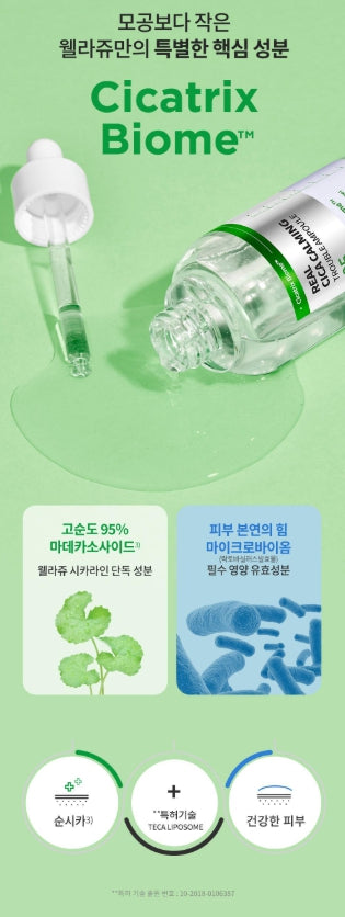 [WELLAGE] Real Cica Calming Ampoule Lightweight Comfort Finish 50ml