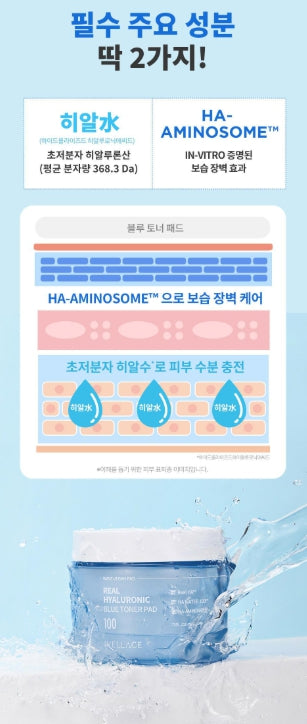 [WELLAGE] Real Hyaluronic Blue Toner Pads Hydrating Smooth Finish 70 Pads (+ One-Day Kit)