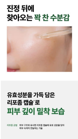 [mediheal] Mediheal Tea Tree Hydrating Ampoule Fresh Lightweight Finish 50 ml
