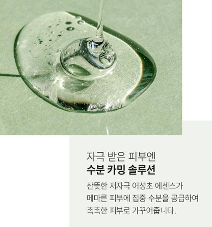 [FATION] Heartleaf Calming Sheet Mask Fresh Hydrating Finish 1 Sheet (23ml)