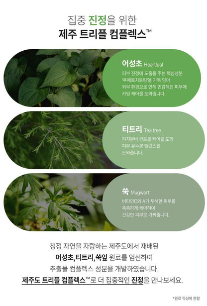 [FATION] Heartleaf Calming Sheet Mask Fresh Hydrating Finish 1 Sheet (23ml)