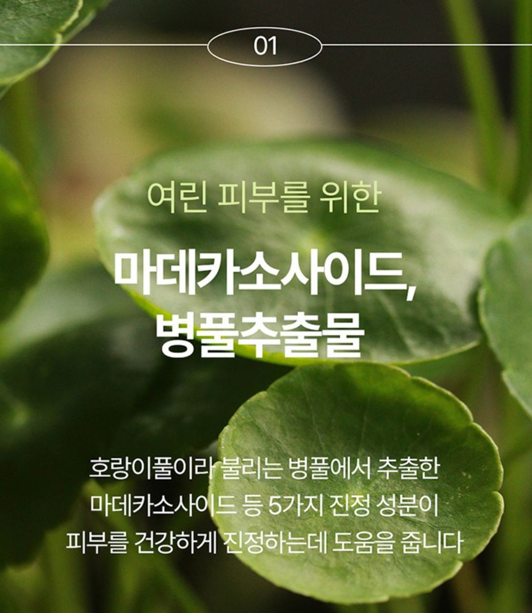 [Pyunkang Yul] Calming Moisture Barrier Cream Soft Hydrating Finish 50 ml
