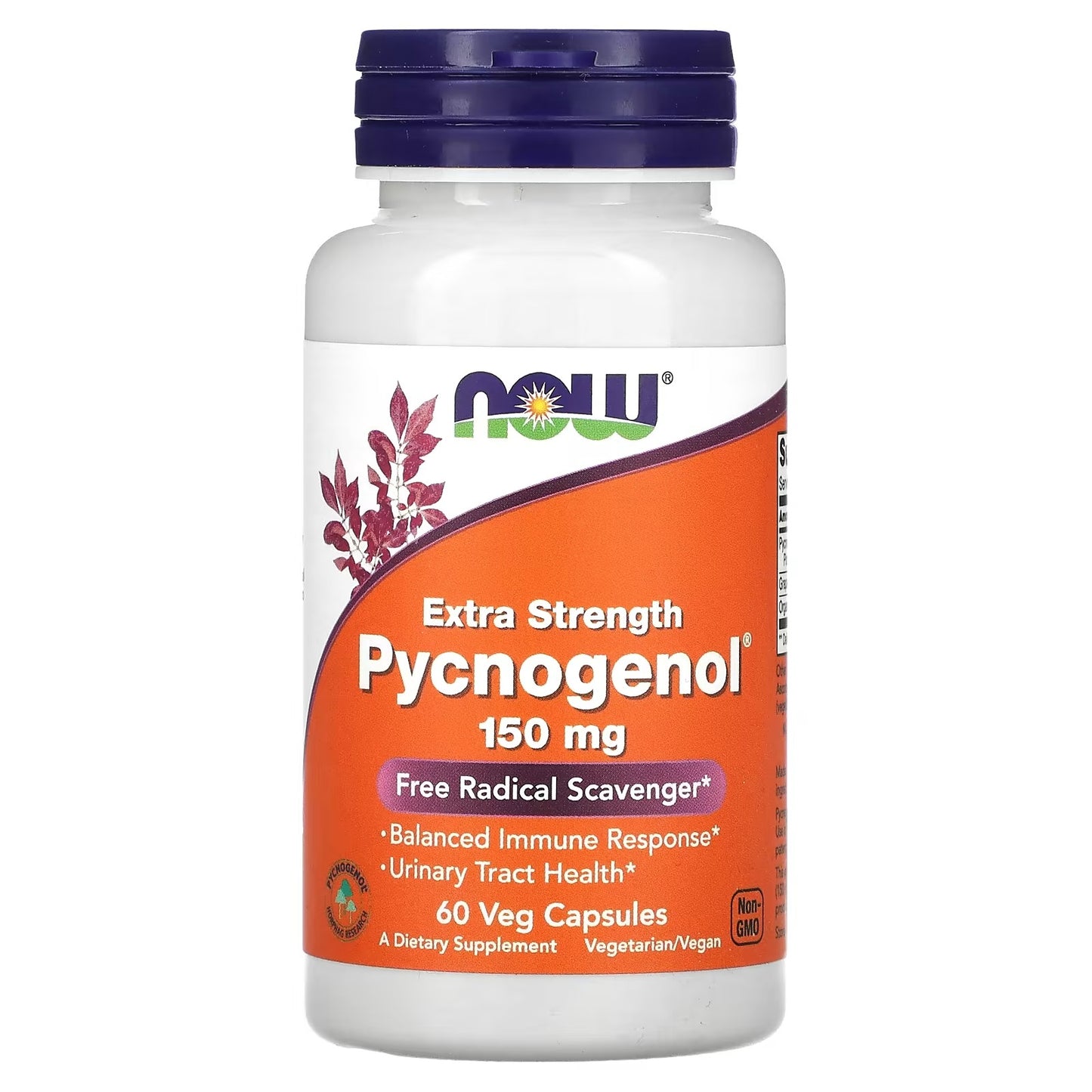[NOW Foods + Swanson] Pycnogenol 150mg & Bilberry 250mg Set | Dietary Supplement | 60 + 60 Capsules | GlowLab