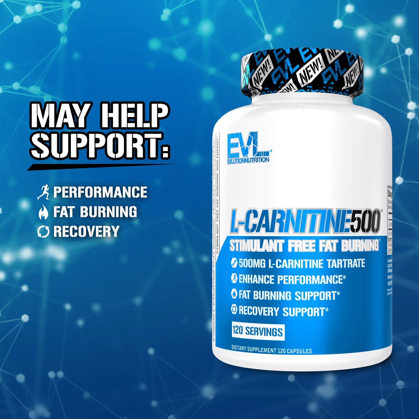 [EVLution Nutrition] L-Carnitine 500mg | Dietary Supplement for Active Lifestyle | 120 Capsules