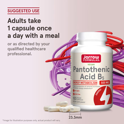 [Jarrow Formulas] Pantothenic Acid (Vitamin B5) 500mg | Dietary Supplement for Daily Wellness | 100 Veggie Capsules