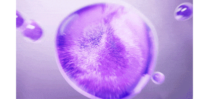 [Bio Heal Boh] Probioderm Collagen Remodeling Serum & Pore Shurink Device Set (30ml + Cream 20ml + Mask 1 Sheet)