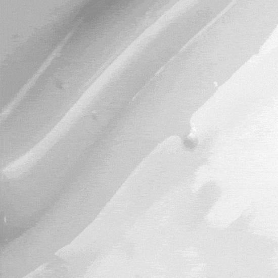 [d’Alba] Waterfull Mild Sun Cream SPF50+ PA++++ | Lightweight Vegan Daily Sunscreen 50 ml