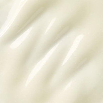 [BIOHEAL BOH] Probioderm Collagen Essence Sun Cream SPF50+ PA++++ | 50mL