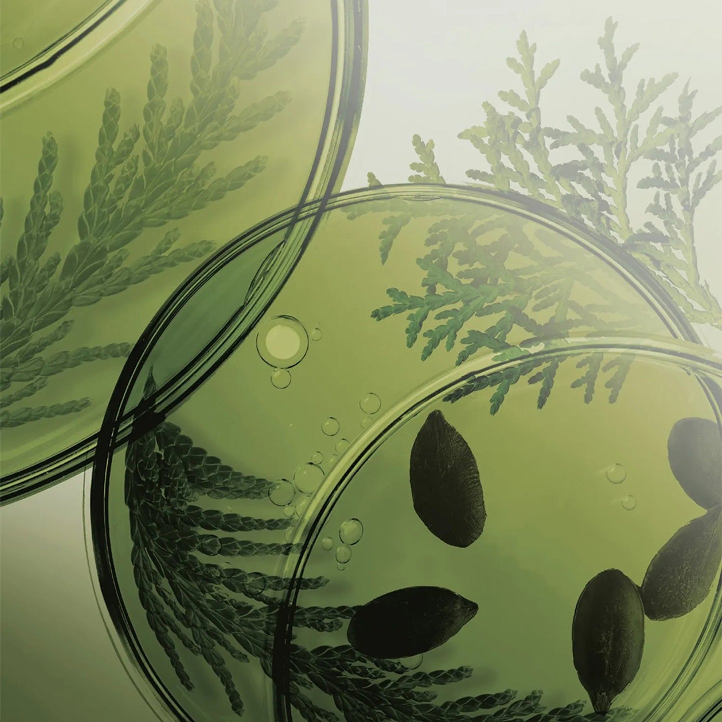 [Ryo] Volumizing Herbal Scalp Shampoo with Mild Acidic Lather – 353mL Special Set (+100mL)